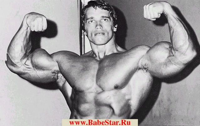 Арнольд Шварценеггер (Arnold Schwarzenegger). Фото - 10
