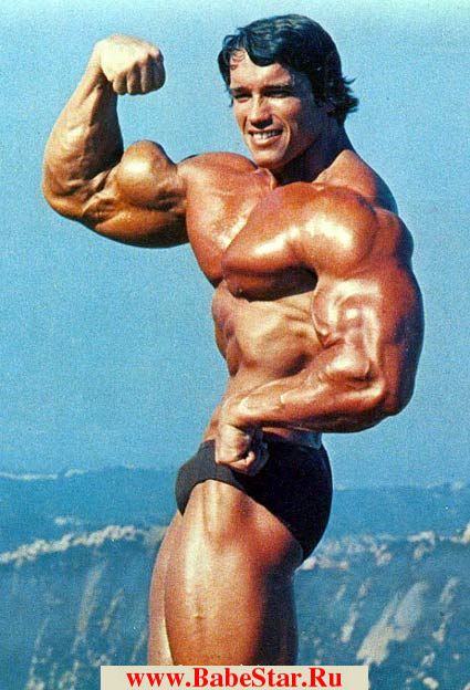 Арнольд Шварценеггер (Arnold Schwarzenegger). Фото - 12