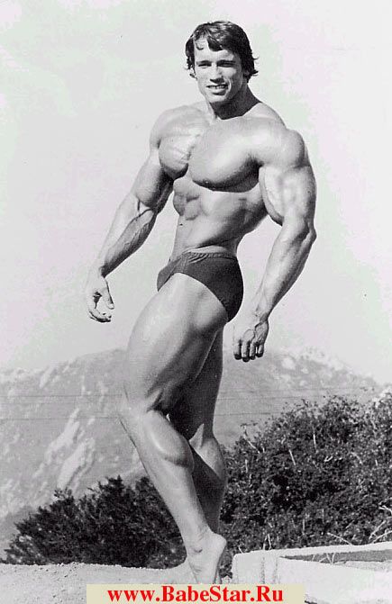 Арнольд Шварценеггер (Arnold Schwarzenegger). Фото - 16