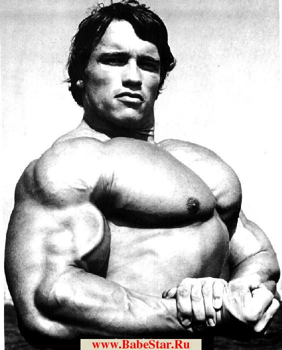 Арнольд Шварценеггер (Arnold Schwarzenegger). Фото - 18