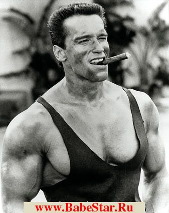 Арнольд Шварценеггер (Arnold Schwarzenegger). Фото - 7