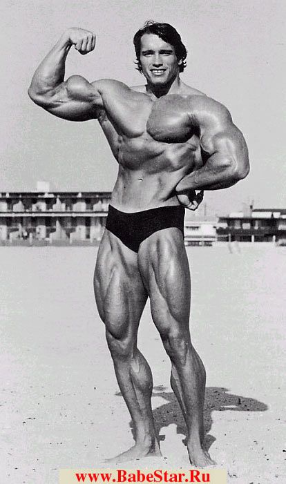 Арнольд Шварценеггер (Arnold Schwarzenegger). Фото - 13