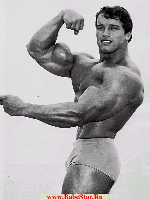 Арнольд Шварценеггер (Arnold Schwarzenegger). Фото - 14