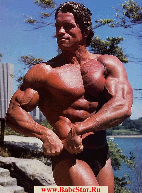 Арнольд Шварценеггер (Arnold Schwarzenegger). Фото - 34