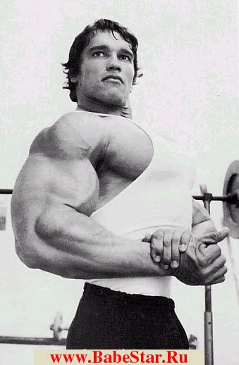 Арнольд Шварценеггер (Arnold Schwarzenegger). Фото - 4
